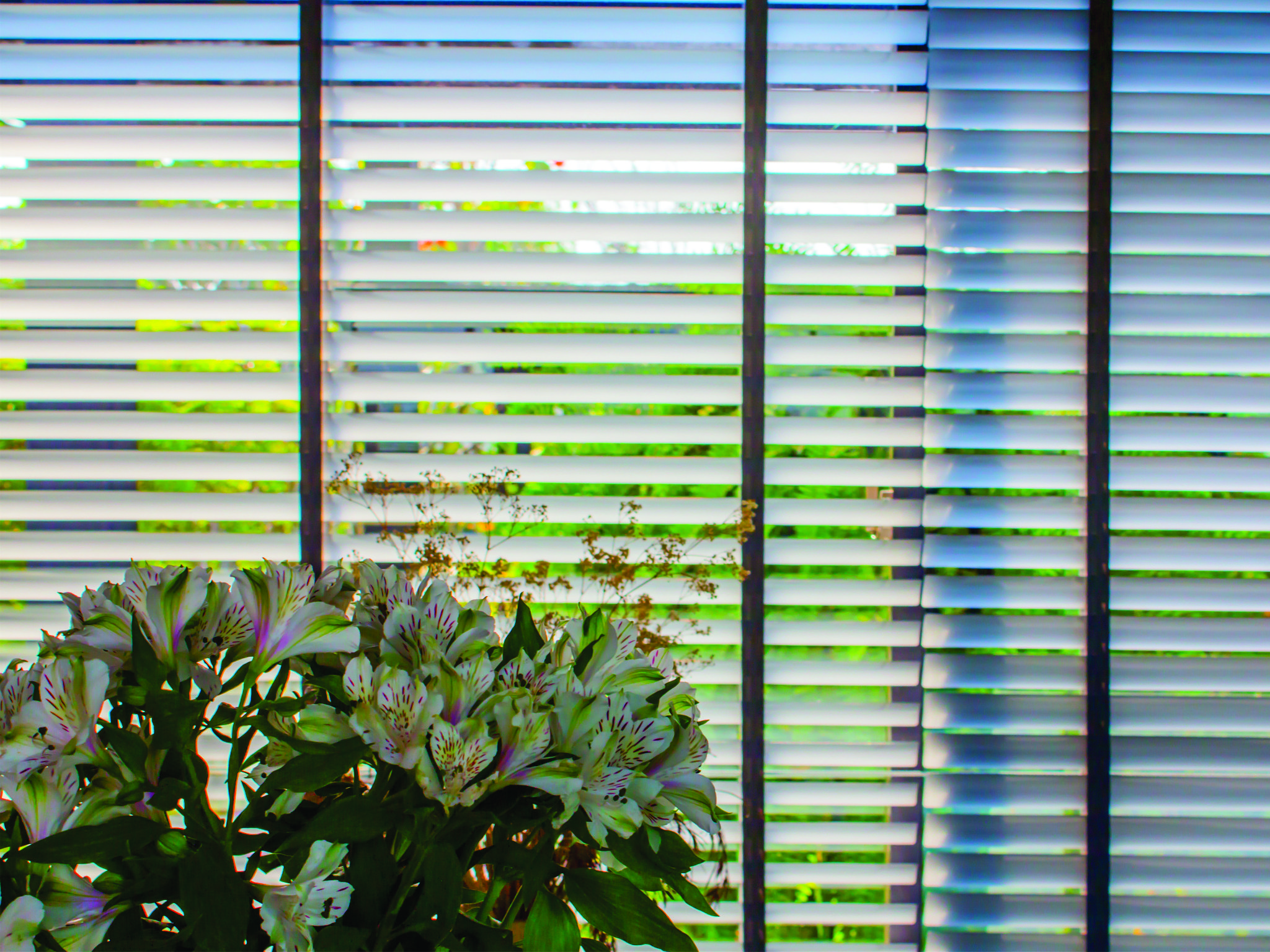 Limpeza e Manutenção de Persianas em São Paulo